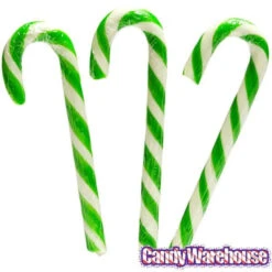 Candy Shop -Candy Shop archie mcphee pickle candy canes 6 piece box candy warehouse 2