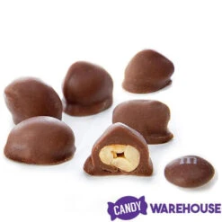 Brach's Double Dippers Milk Chocolate Covered Peanuts: 12-Ounce Bag -Candy Shop brach s double dippers milk chocolate covered peanuts 12 ounce bag candy warehouse 3 6c5445c4 b288 498f b1a5 4083f6aed8f9