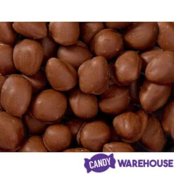 Brach's Double Dippers Milk Chocolate Covered Peanuts: 12-Ounce Bag -Candy Shop brach s double dippers milk chocolate covered peanuts 12 ounce bag candy warehouse 4 7a6bd210 22d2 46b8 86dc 4fa28e85147b