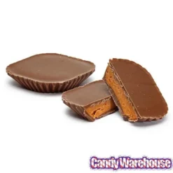 Butterfinger Peanut Butter Cups Candy Packs: 24-Piece Box 6 Butterfinger Peanut Butter Cups Candy Packs: 24-Piece Box -Candy Shop butterfinger peanut butter cups candy packs 24 piece box candy warehouse 3