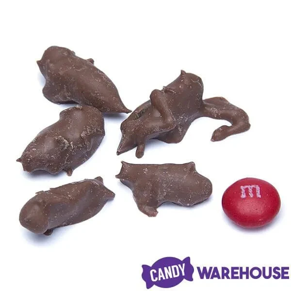 Chocolate Covered Crickets: 100-Piece Tub 3 Chocolate Covered Crickets: 100-Piece Tub - Image 3