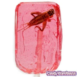 Cricket Lollipops: 36-Piece Box -Candy Shop cricket lollipops 36 piece box candy warehouse 4