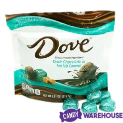Dove Dark Chocolate Sea Salt Caramel Squares: 28-Piece Bag -Candy Shop dove dark chocolate sea salt caramel squares 28 piece bag candy warehouse 5