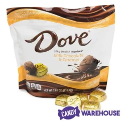Dove Milk Chocolate Caramel Squares: 28-Piece Bag 9 Dove Milk Chocolate Caramel Squares: 28-Piece Bag -Candy Shop dove milk chocolate caramel squares 28 piece bag candy warehouse 5