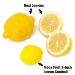 Dubble Bubble Mega Fruit 2-Inch Gumballs: 138-Piece Case -Candy Shop dubble bubble mega fruit 2 inch gumballs 138 piece case candy warehouse 4 1db9c377 69f2 4258 8701 0023d62dfae6