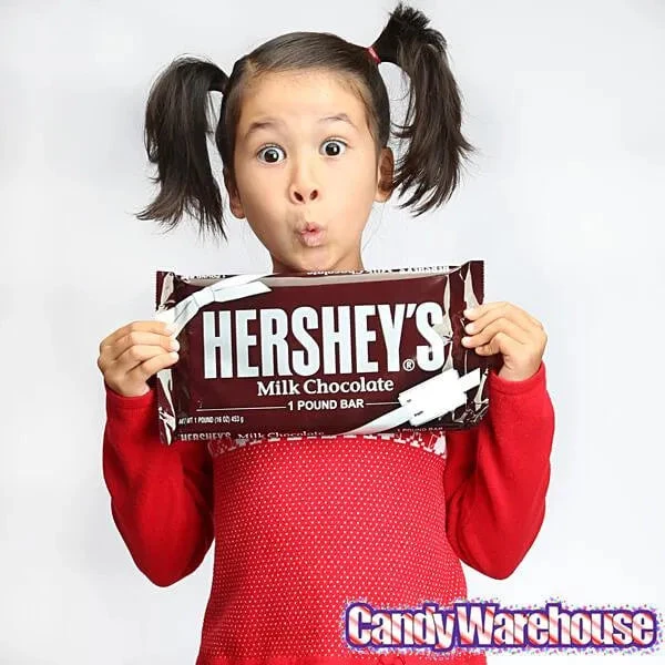 Hershey's 1-Pound Milk Chocolate Bar 2 Hershey's 1-Pound Milk Chocolate Bar - Image 2