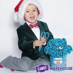 Jelly Belly Candy Canes - Blueberry: 80-Piece Bucket -Candy Shop jelly belly candy canes blueberry 80 piece bucket candy warehouse 3