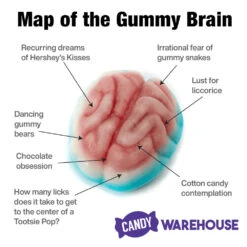 Jelly Filled Gummy Brains: 1KG Bag -Candy Shop jelly filled gummy brains 1kg bag candy warehouse 3