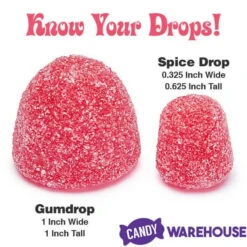 Jumbo Gumdrops Candy: 5LB Bag -Candy Shop jumbo gumdrops candy 5lb bag candy warehouse 4 0840f1f6 a14c 40b8 a375 89b9c6d7583d