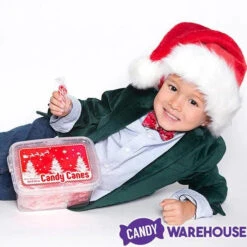 Mini Candy Canes - Red And White: 100-Piece Tub 9 Mini Candy Canes - Red And White: 100-Piece Tub -Candy Shop mini candy canes red and white 100 piece tub candy warehouse 3