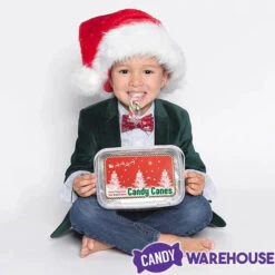 Mini Candy Canes - Red, Green, And White: 100-Piece Tub -Candy Shop mini candy canes red green and white 100 piece tub candy warehouse 4