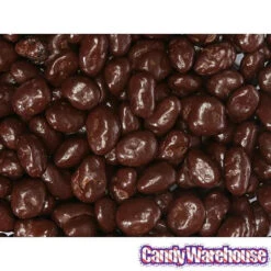 Raisinets Milk Chocolate Raisins Candy: 8-Ounce Bag -Candy Shop raisinets milk chocolate raisins candy 8 ounce bag candy warehouse 4 e8189a75 ec0b 4767 a160 01f21970455a