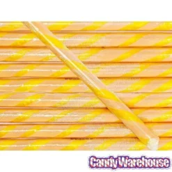 Salted Caramel Hard Candy Sticks: 100-Piece Box -Candy Shop salted caramel hard candy sticks 100 piece box candy warehouse 3